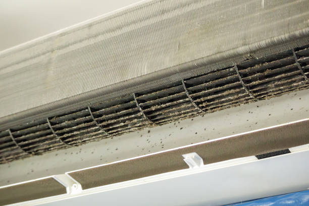 Best Ductwork Cleaning Services  in Land O Lakes, FL