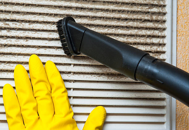 Best HVAC Duct Inspection Services  in Land O Lakes, FL